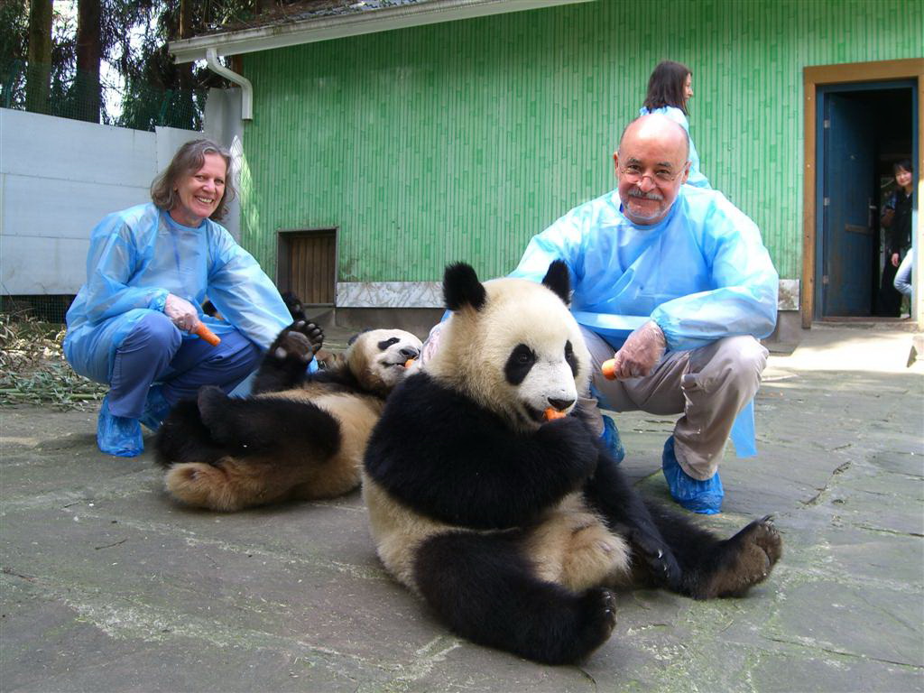 Panda Volunteer Program